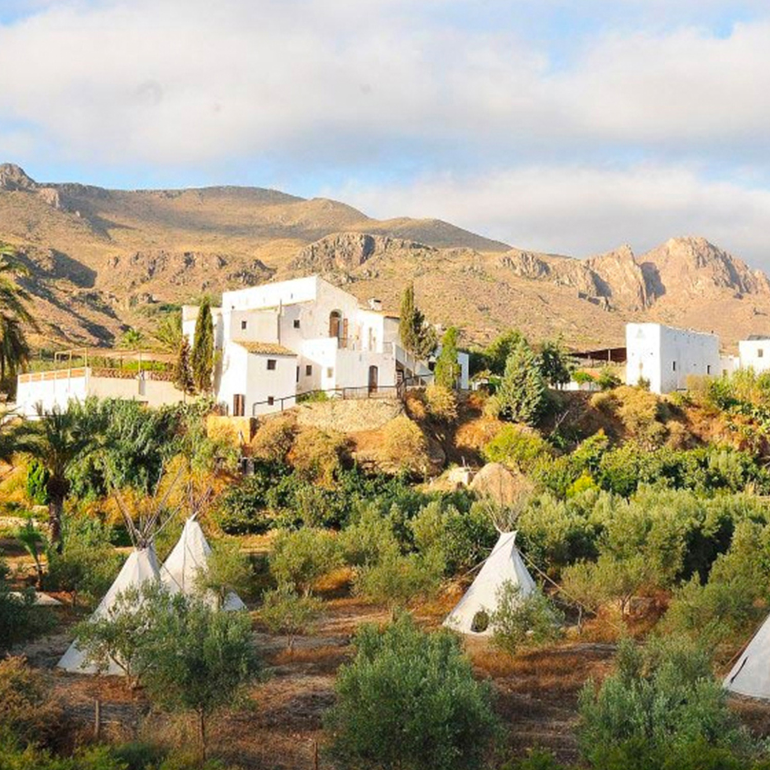 ENTORNO WAHE GURU FEST