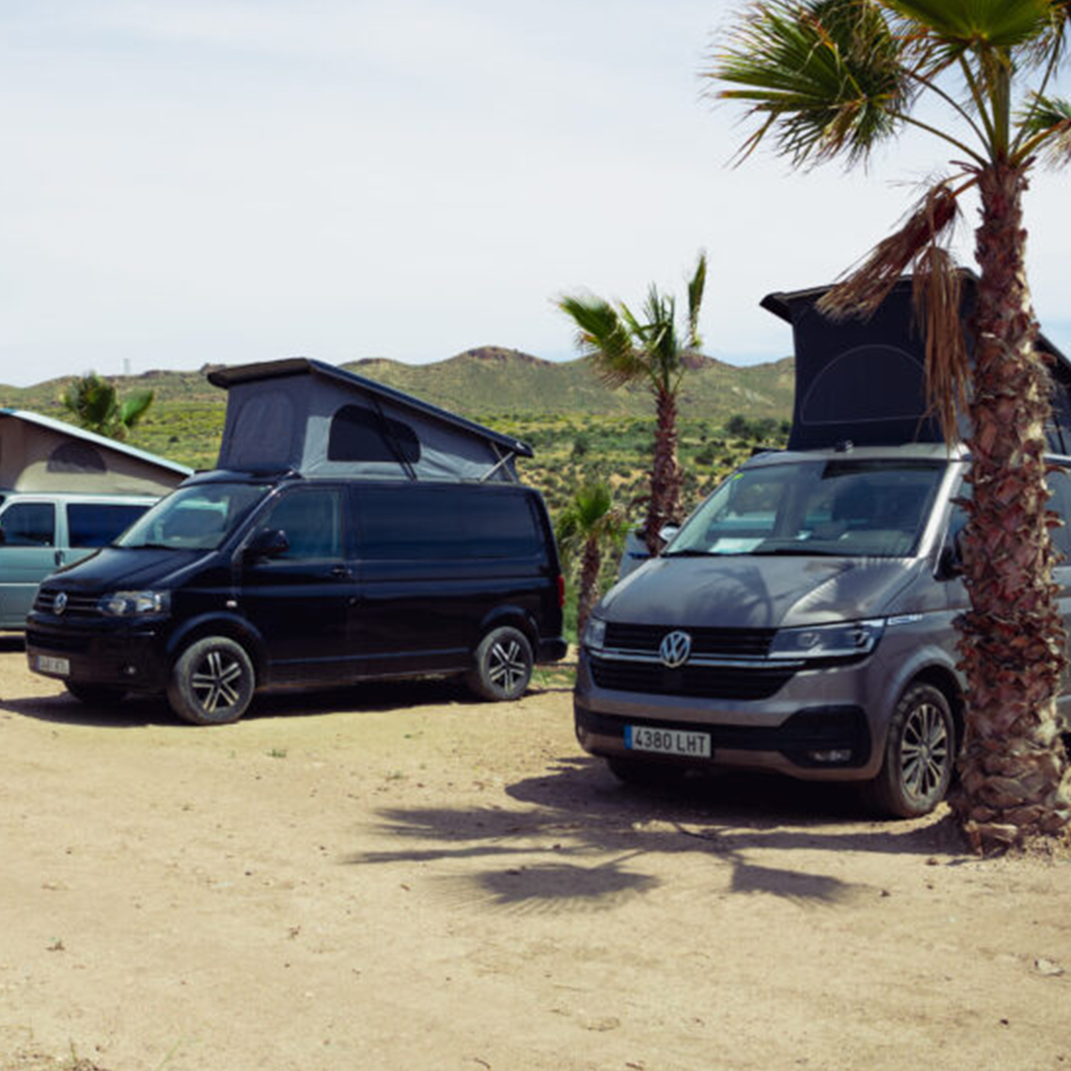 COMUNIDAD WAHE GURU FEST<br />