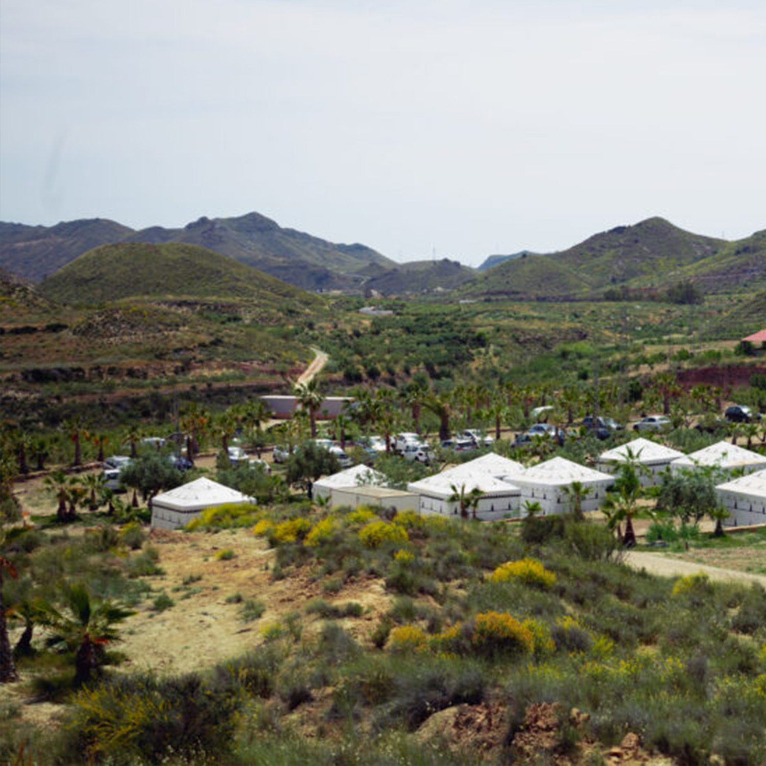 ENTORNO WAHE GURU FEST